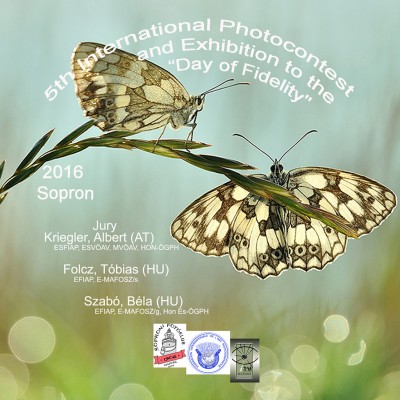 5th International Photocontest and Exhibition to the Day of Fidelity pályázat képe